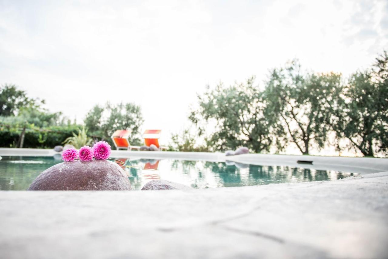 Agriturismo Il Grappolo Lazise Exterior foto